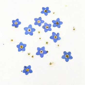 100pcss Uita-mi-nu-flori Uscate, Flori Presate Flori Floare Reală Manichiura DIY Manual Epoxidice Bijuterii