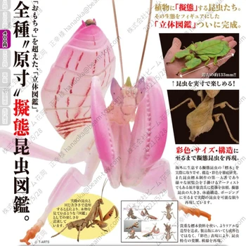 Japonia T-ARTE Beetle Simulare Walkingstick Insecta Mantis Centipede Culoare Primară Imita Insecte PVC Capsulă Jucarii Model