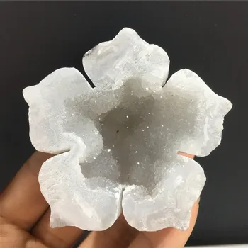 Naturale Cristale Albe Cluster Gaura Petale De Piatră Punct De Vindecare De Energie Flori Decor Acasă