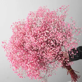 Naturale, Proaspete, Uscate, Conservate Flori Gypsophila paniculata,Respirația Copilului buchete de Flori cadou pentru Decor Nunta,ziua Îndrăgostiților